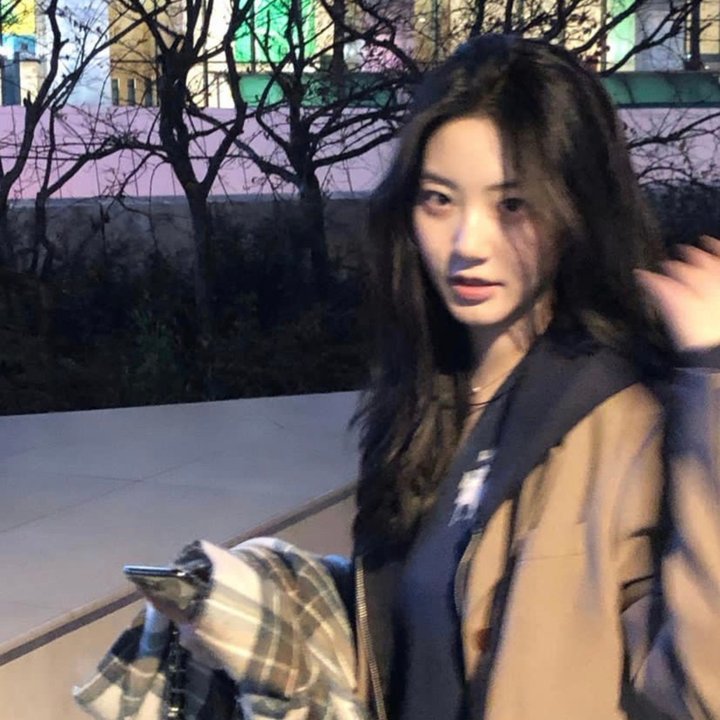 两个阿拉伯骑士